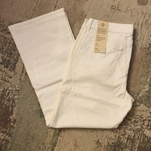 Talbots White Signature Boot 16P/33 Jeans